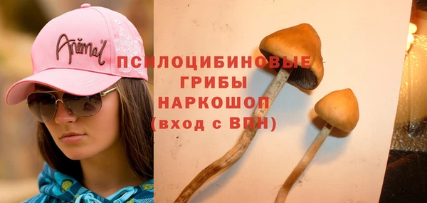 гидропоника Нефтегорск