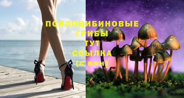 мяу мяу мука Тихвин
