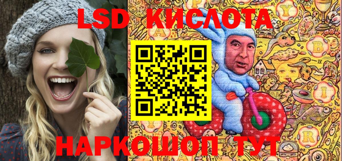 МЕФ Саратов