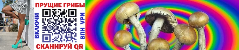 Галлюциногенные грибы MAGIC MUSHROOMS  Саратов 
